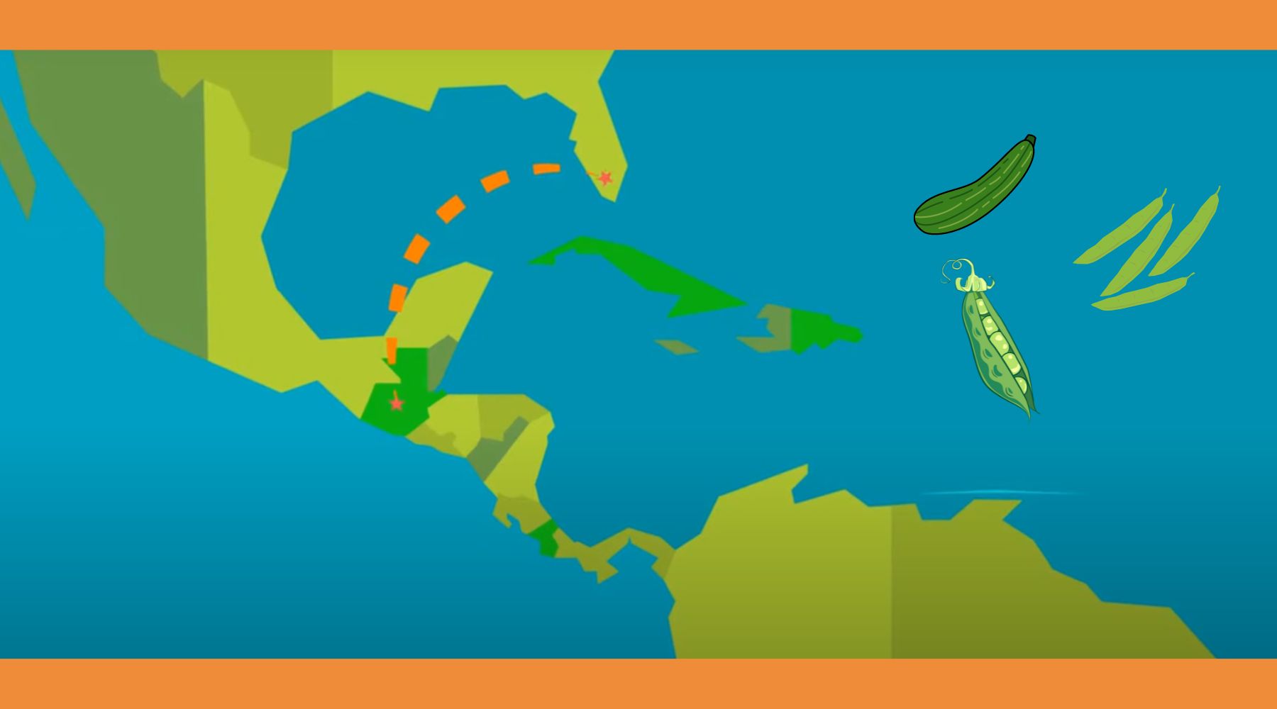 exportaciones marítimas internacionales para el comercio de verduras